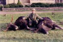 Sue with two bronze medal moose (click to enlarge)