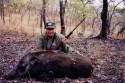 Sue with bushpig (click to enlarge)