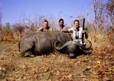 Anthony with buffalo